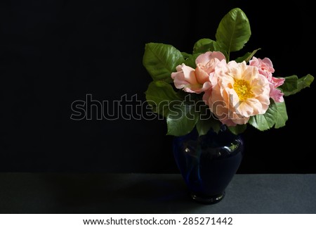 roses in a small blue glass vase, \
bouquet of cut blossoming springtime roses with mild warm colors, in a small blue glass vase shot in front of  a black backdrop