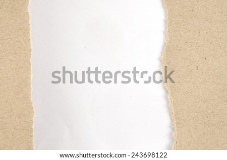 Image of brown paper ripped on white paper background