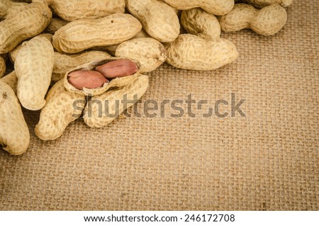 Roasted peanuts on brown sack background