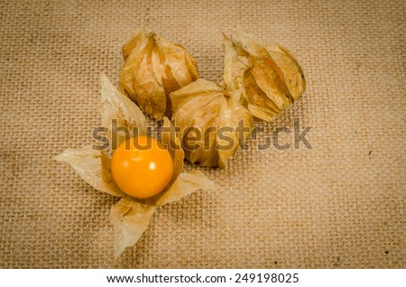 Image of cape gooseberry on brown sack background