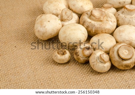 Image of mushroom on brown sack background