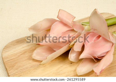 Close up image of pink torch ginger flower