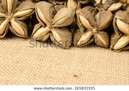 Image of sacha inchi peanut seed on brown sack background
