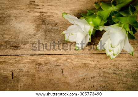 White siam tulip on wood board