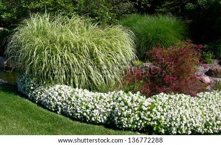 Landscape with green lush ornamental grass and white flower beds