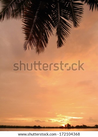Orange sunset with horizon line and palm tree silhouette, with copyspace for exotic places advertisements