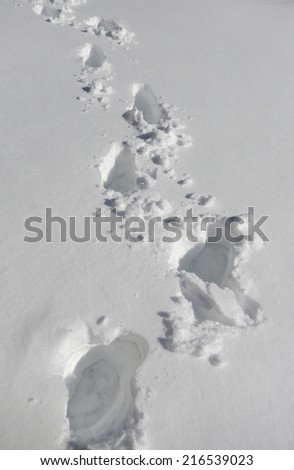 Footprints in snow on a bright winter day