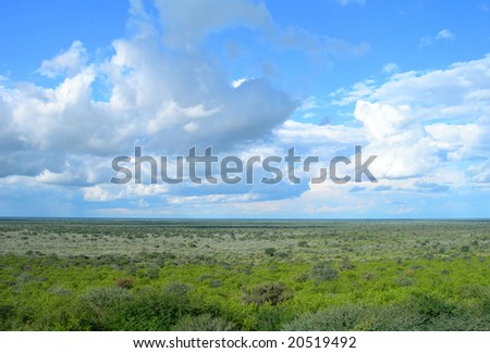 Panoramic barren landscape savanna in Namibia, Africa