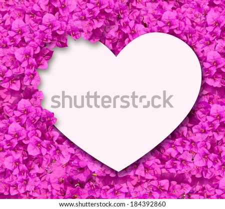 White heart card on bougainvillea flowers background.