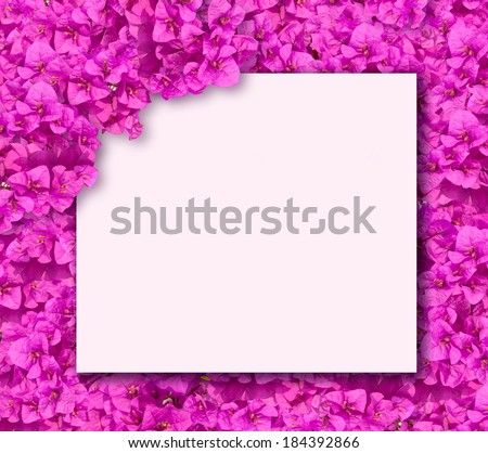 White card on purple bougainvillea flowers background.