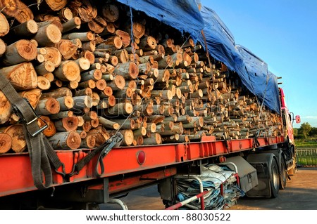 stack of wood  on a trailer ready to go to factory.