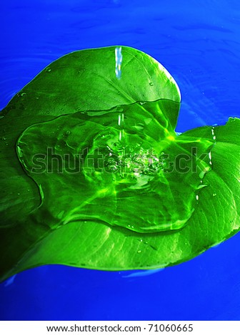Circles and green leaf on the water with splashes