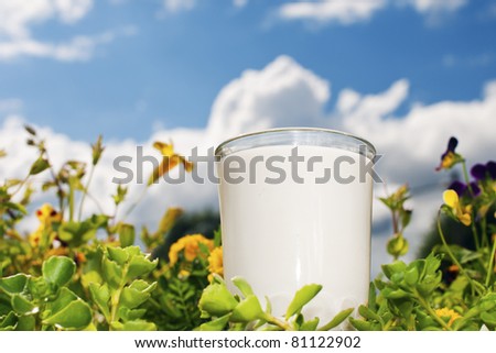 glass of milk with grass, flowers and sky