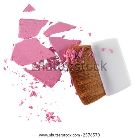 Cosmetic powder brush