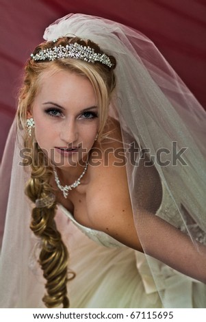 Hair With Veil. stock photo : Blonde hair with