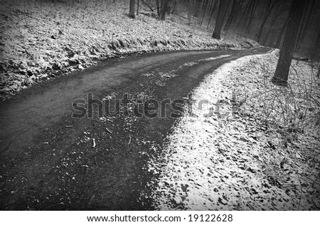 Snowy winter road through woods, b/w