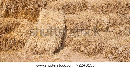 Pile of rice straw