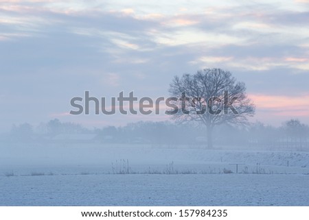 A cold but beautiful sunrise in winter