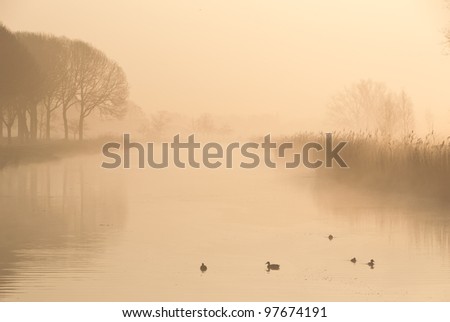 A foggy morning in a typically Dutch landscape