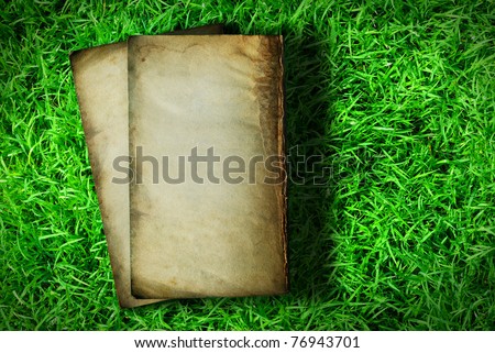 Light drop on old books with green grass