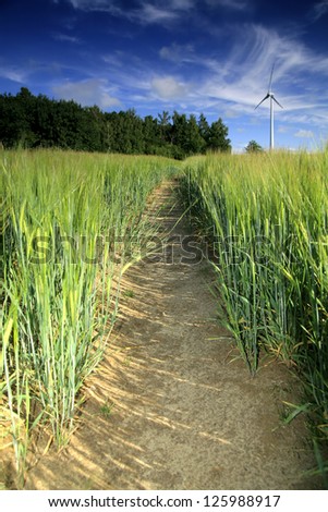 Straight path between cereal row