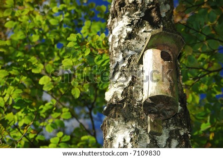 nest box hang on the tree