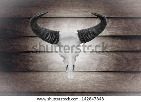 Closeup skull cow on wooden wall texture of the seamless  wood