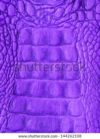 Close up crocodile skin texture as background