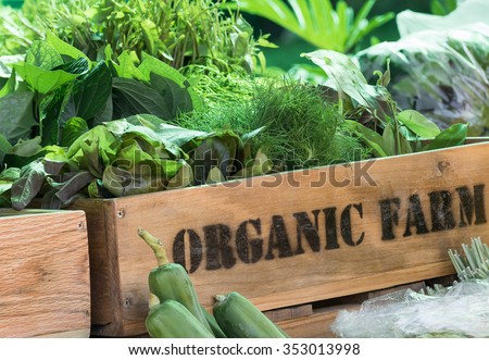 Fresh organic produce from farm in wooden box