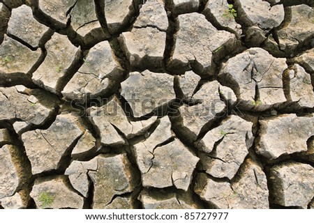 Cracked earth  metaphoric for climate change and global warming.