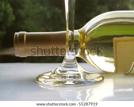 White wine on it\'s side with natural background