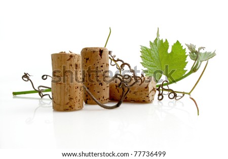 Three wine corks with grapevine leaves and tendrils on white