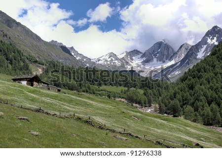 A valley in South Tyrol in Italy, alpine meadows and a alpine hut, in the background the mountains of the Oetztal Alps, blue sky and white clouds, forests and meadows In the nature reserve Texelgruppe