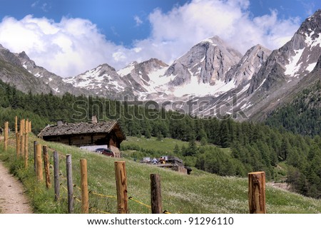 Snow-capped summits of the Oetztal Alps in South Tyrol, Italy. Alpine hut in the Pfossental, flower meadows, blue sky and white clouds Snow-capped summits