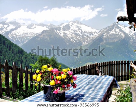 On a table is a bouquet of alpine flowers and in the background are the Zillertal Alps Alpine flowers