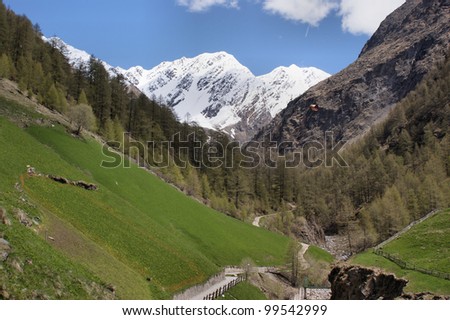 On the Merano High Mountain Trail in South Tyrol, Italy; mountain tour on a sunny day in the spring through the Pfossental; blue sky with white clouds On the Merano High Mountain Trail