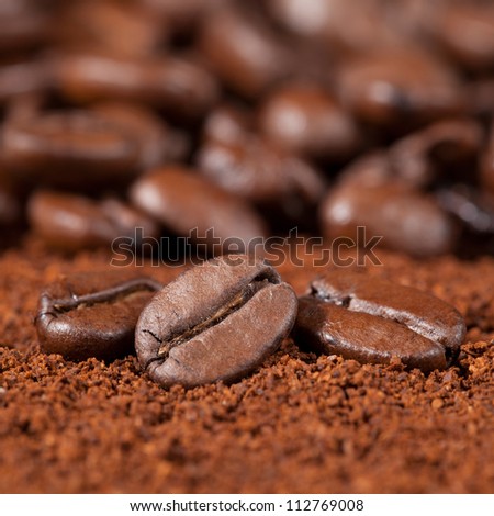 Macro shot of coffee beans on coffee powder with shallow depth of field and copy space