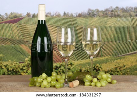 Fresh new white wine in bottle and glasses in the vineyards