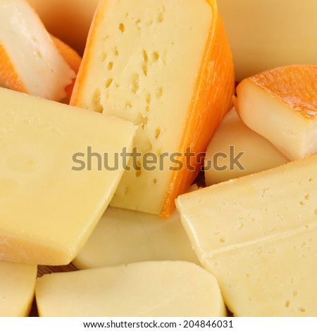 Cheese selection with Gouda, Leerdammer, hard and Swiss cheese