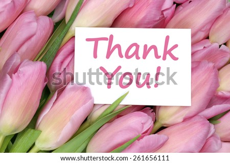 The words Thank You on greeting card gift with tulips flowers