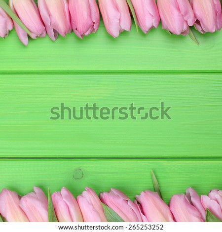 Frame from tulips flowers in spring or mothers day with copyspace