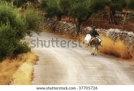 An old lady riding a donkey along a country road in Mani, southern Greece