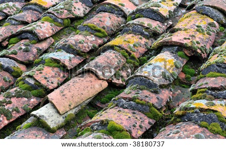 Multi-colored picture of roof tiles with moss grown among them