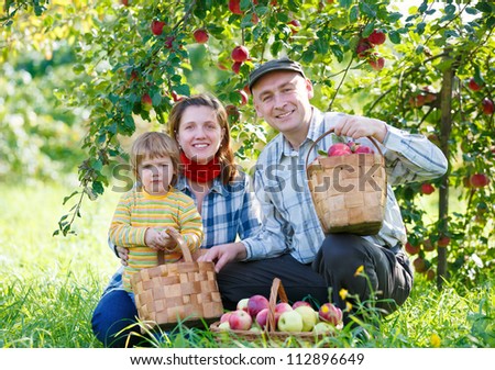 happy family harvests of apples in a garden outdoors