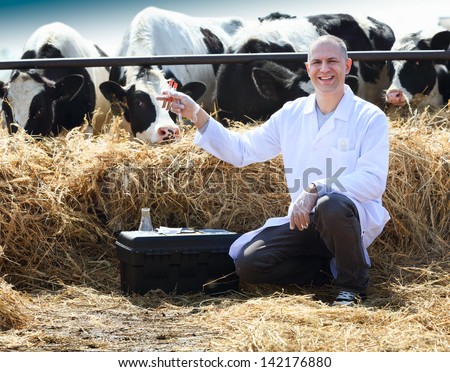 Seated Man With Test Tubes In Hand On Cow Farm