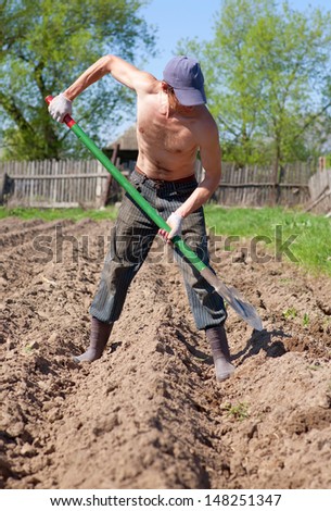 The man works in a kitchen garden in the summer