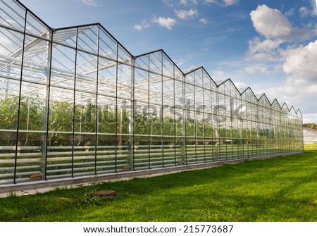 tomato greenhouses against the blue sky