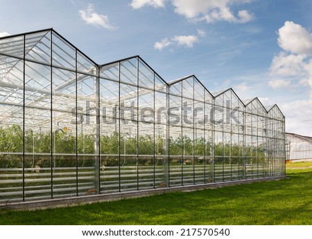 Greenhouses growing vegetables on background sky outdoors