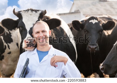 Veterinarian at  farm cattle. ?heerful man surrounded by cows