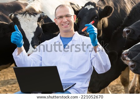 Vet Doctor with laptop and bio tests on cow  farm